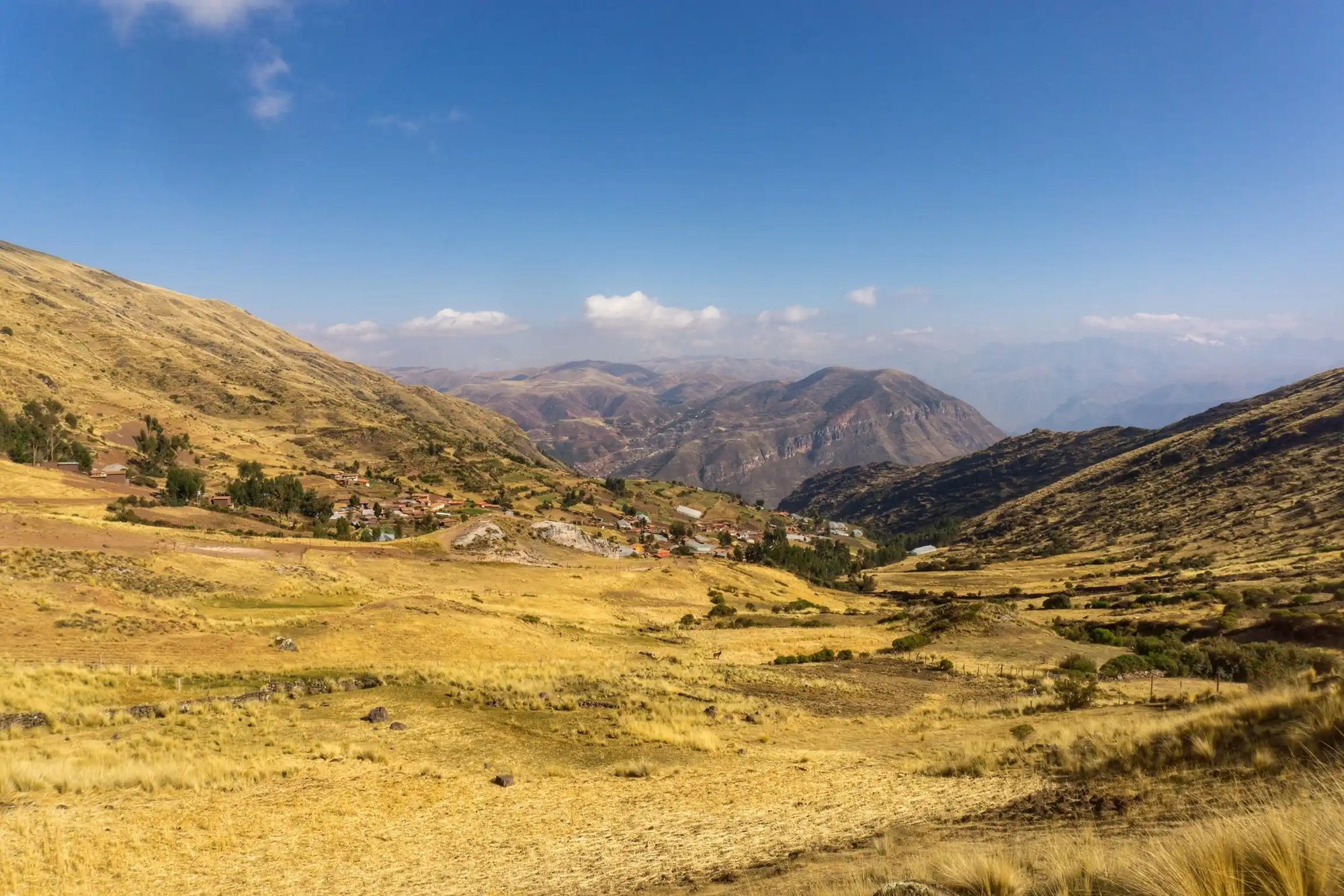 Rolling golden hills under a blue sky with white clouds.