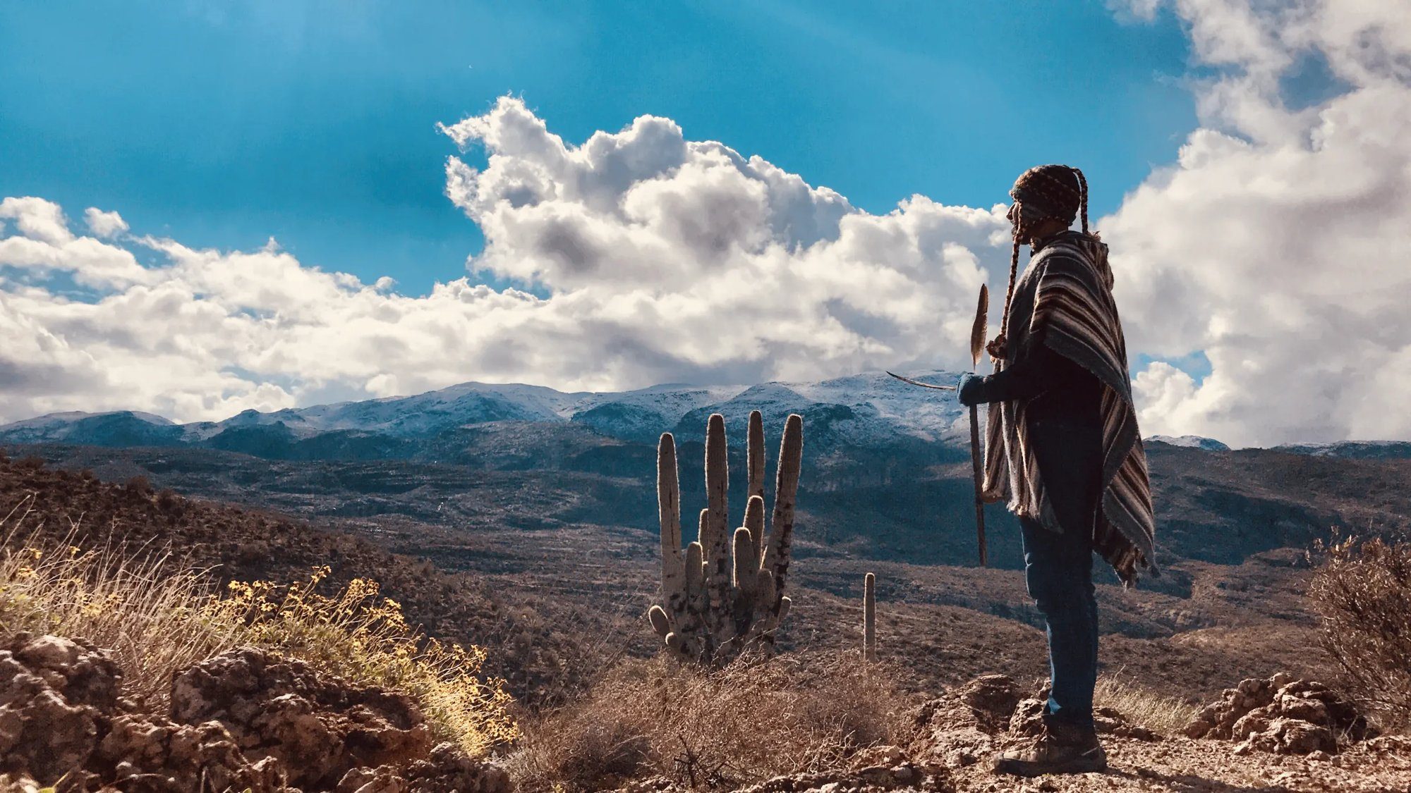A person in a striped poncho stands on a ridge above the Sacred Valley, facing snow dusted mountains under tall cloud, with a tall cactus in the middle distance.