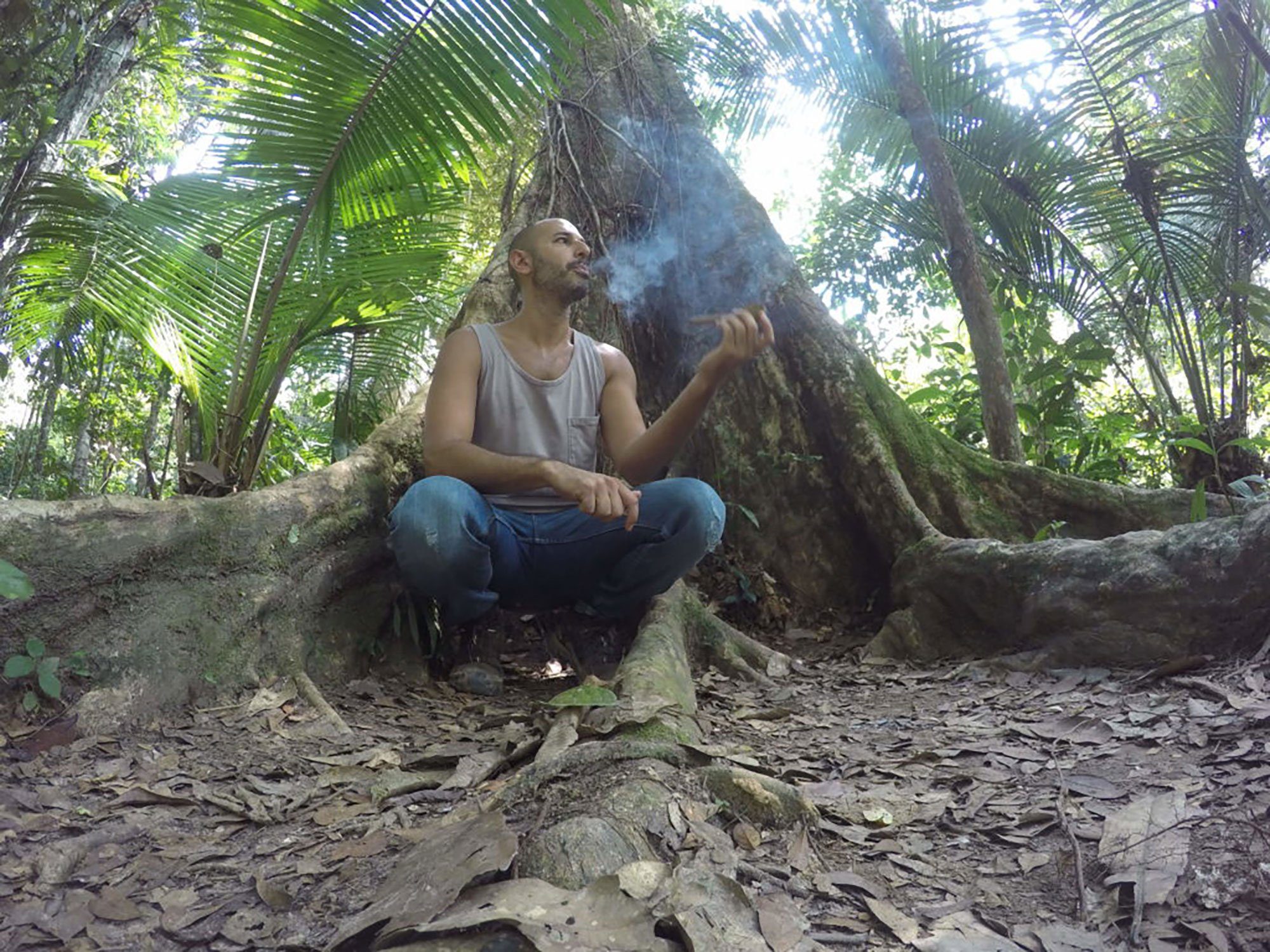 A person seated among the roots of a large tree in the forest, smoke rising from a pipe.