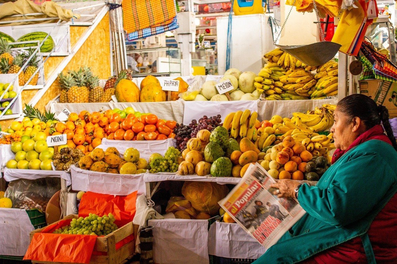 The Ayahuasca Diet Dissected